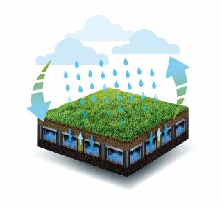 blue green roof solution